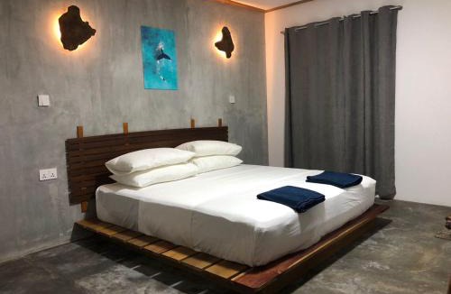 Dhidhdhoo Hotel | Dive and Sleep - All Inclusive Diving Guesthouse - 3 Dives per day