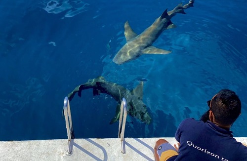 Male Boat Rental | Dream cruise in the Maldives