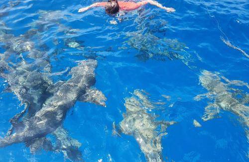 South Ari Atoll Hotel | Hotel ∙ 3 guests