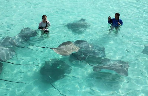 Fulidhoo Hotel | Hotel ∙ 8 guests