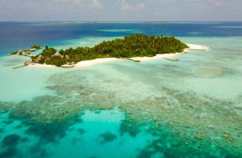 Male Resort | Island Resort Beach Bungalow, Twin, Full Board