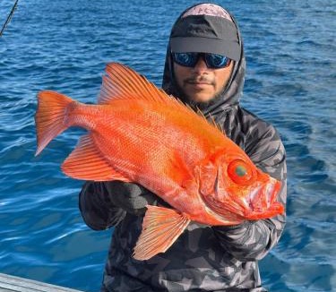 Hulhumale Boat Rental | Knight at Sea Fishing Charter