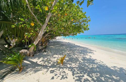 Himandhoo Hotel | Kuri Himandhoo Inn