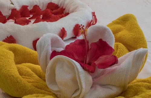Rasdhoo House | Lilac Stay Rasdhoo