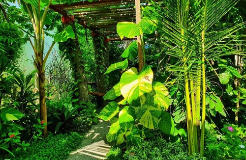 Thoddoo Hotel | Lunara Residence