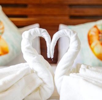 Dhiffushi Bed & Breakfast | Maldivine Stay Dhiffushi