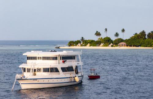Laamu Atoll Resort | Maverick Surf & Dive Boutique Resort - Complimentary Airport Transport for Full Board Stays of 6 Nights or More