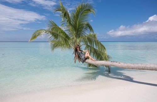 Thimarafushi House | Mikado Surf Camp