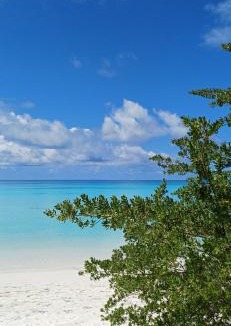 Dhigurah Bed & Breakfast | Nikabliss Dhigurah