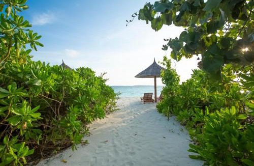 Filaidhoo Resort | Reethi Faru Resort - Stay 5 Nights or more & Enjoy a Free Sunset Cruise