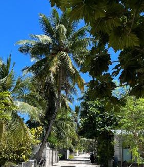 Himandhoo House | Saima Lodge