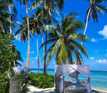 Thulusdhoo Island House | Samura Maldives Guest House Thulusdhoo