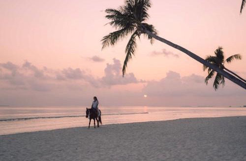 Dhigurah Resort | Siyam World Maldives - 24-Hour Premium All-inclusive with Free Transfer