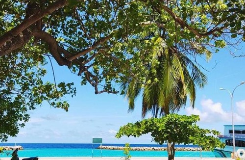 Mahibadhoo House | Sun Dive Inn
