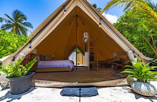 Laamu Atoll Resort | The MAVERICK SURF AND DIVE BOUTIQUE HOTEL - Book 10 Nights and get 1 Free Night - Free Speed Boat Service - Kids Stay Free