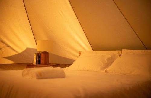 Laamu Atoll Resort | The MAVERICK SURF AND DIVE BOUTIQUE HOTEL - Book 10 Nights and get 1 Free Night - Free Speed Boat Service - Kids Stay Free