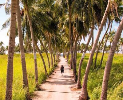 Thoddoo House | Thoddoo Cozy Stay