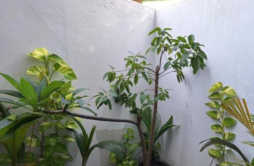 Maalhos Hotel | Thundi Village & Spa