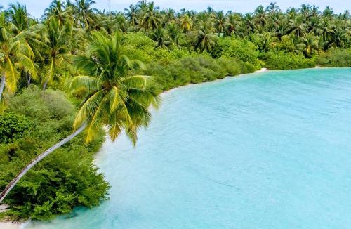 Rakeedhoo Hotel | Tranquil Nest Vaavu