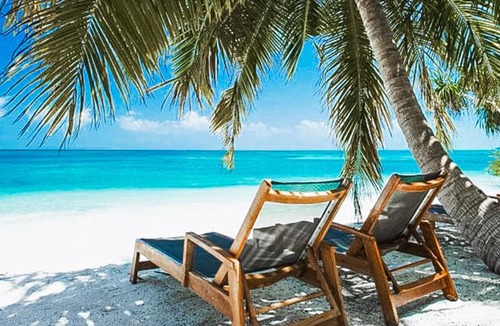 Fehendhoo House | Tropical Tree