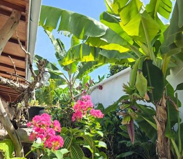 Thoddoo House | Veli garden thoddoo