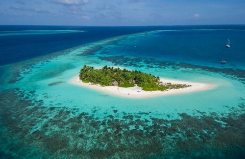 Fesdu Island Hotel | W Maldives