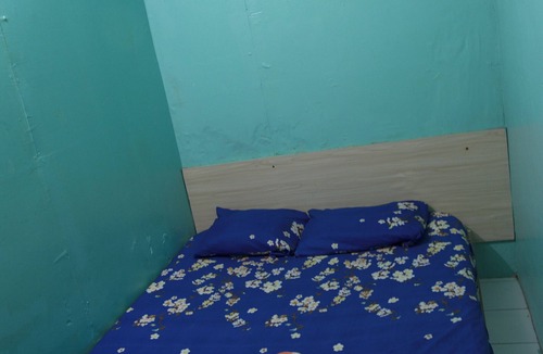 Male House | Wind Stay