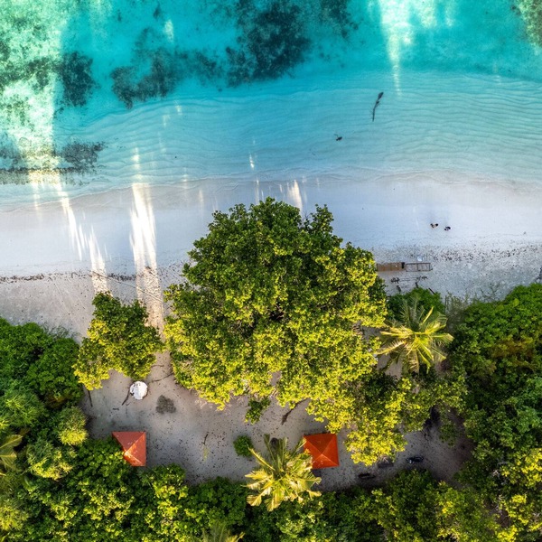 Whaleshark Beach
