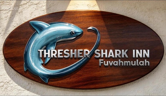 Thresher shark inn in Fuvahmulah