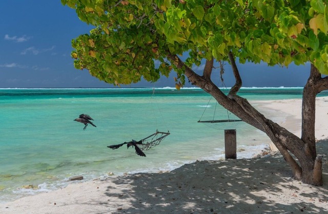 Chao Guesthouse Maafushi - Chao Room 02