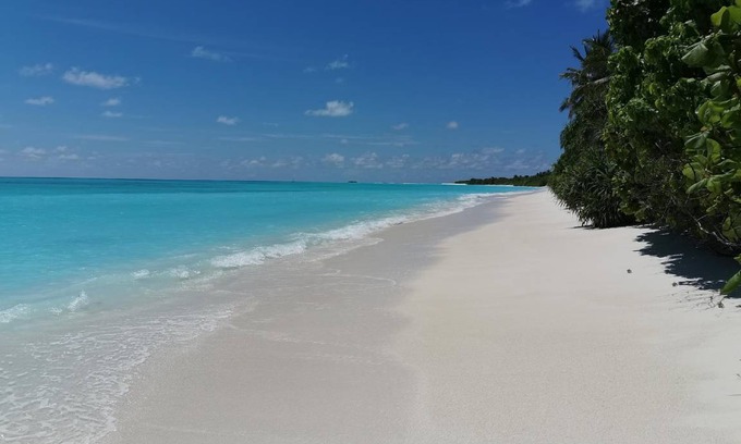 Fulhadhoo Bed & Breakfast | 21 m² Bed and breakfast ∙ 3 guests