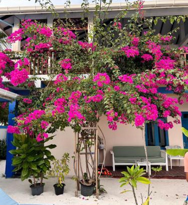 Kendhoo Hostel | Kendhoo holidays