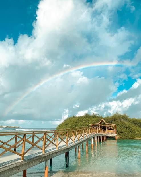 Thulusdhoo Island Apartment | Rozemeed Stay Thulusdhoo
