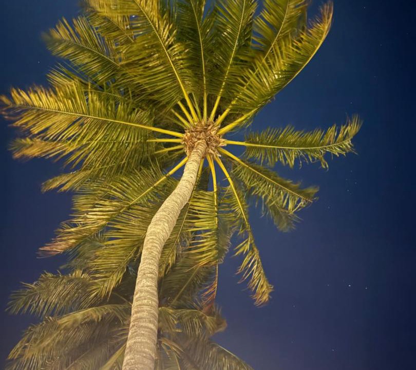 Maamigili Hotel | Moodhu Residence