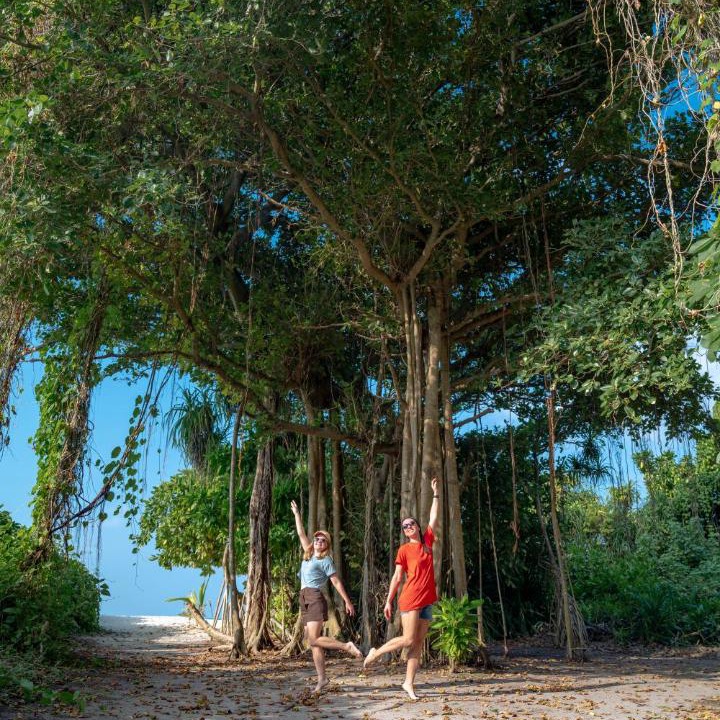 Feridhoo House | Ayvana Retreat