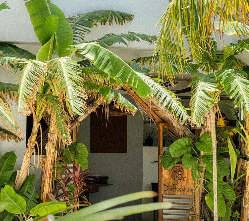 Dhiffushi House | Dhiffushi Inn