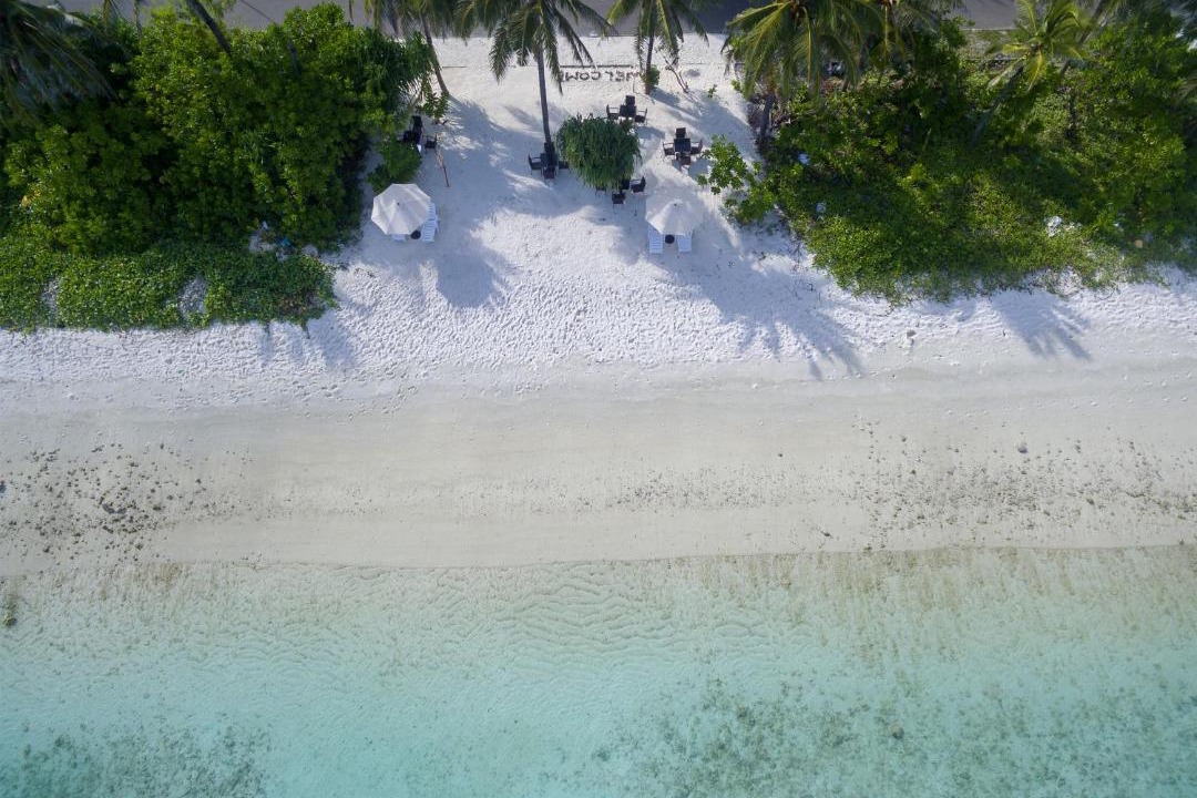 Hulhumale House | White Harp Beach