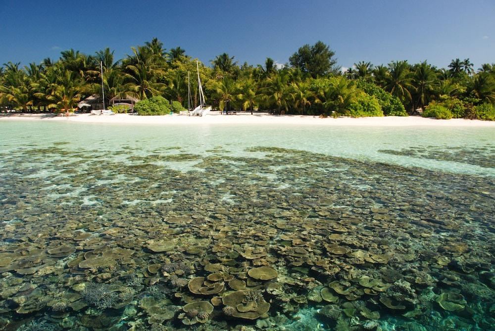 Photo of Outdoor in Vilamendhoo Island