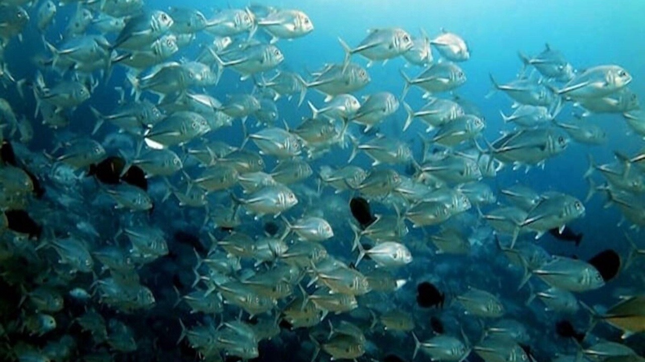 Photo of Outdoor in Rasdhoo