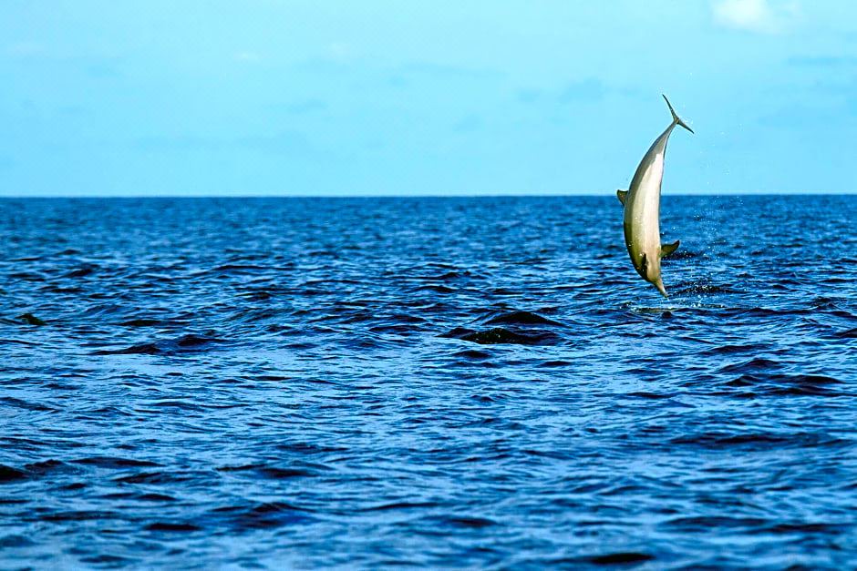 Photo of Others in Velassaru