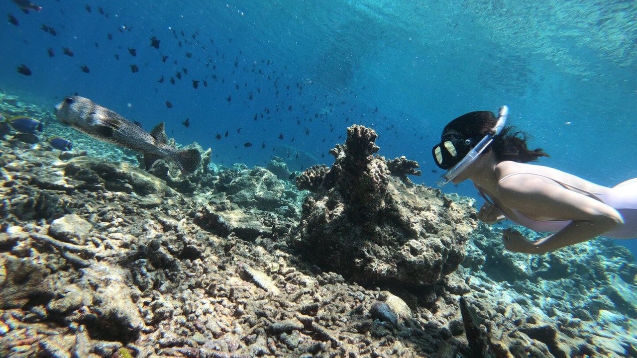 Photo of Others in Fuvahmulah