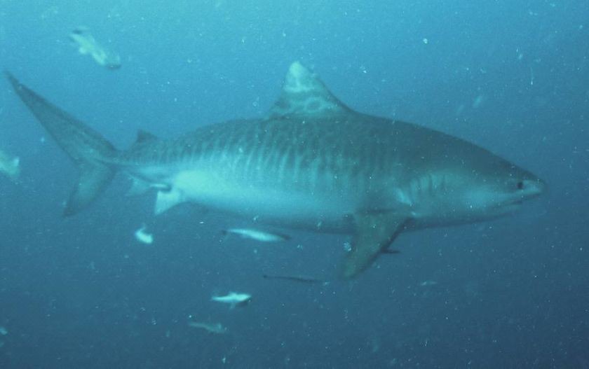 Photo of Outdoor in Feydhoo