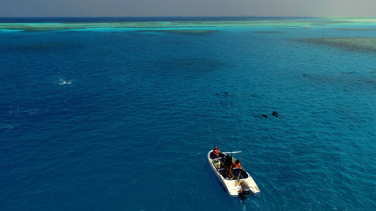 Photo of Others in Fihalhohi Island