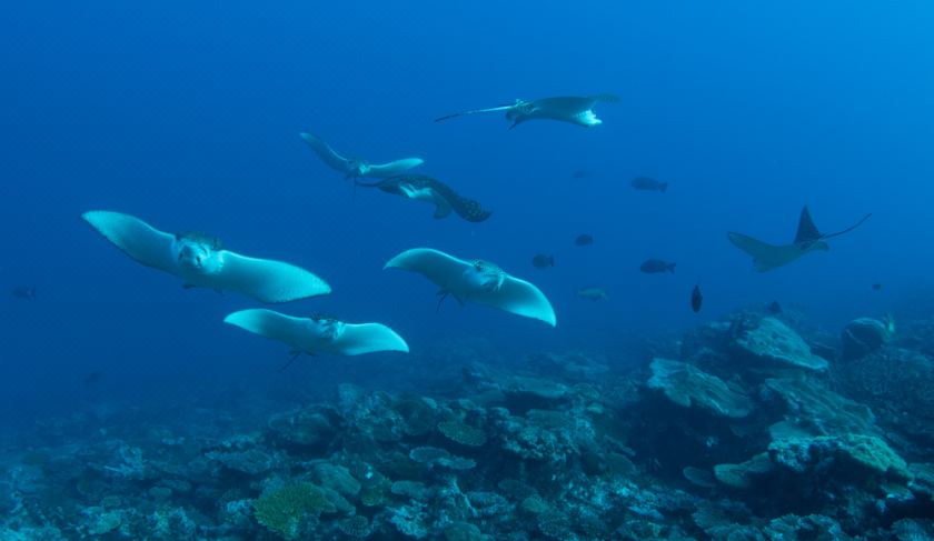 Photo of Outdoor in Feydhoo