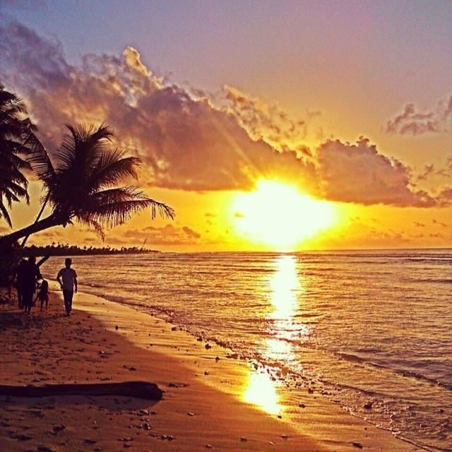 Photo of Others in Hulhudhoo