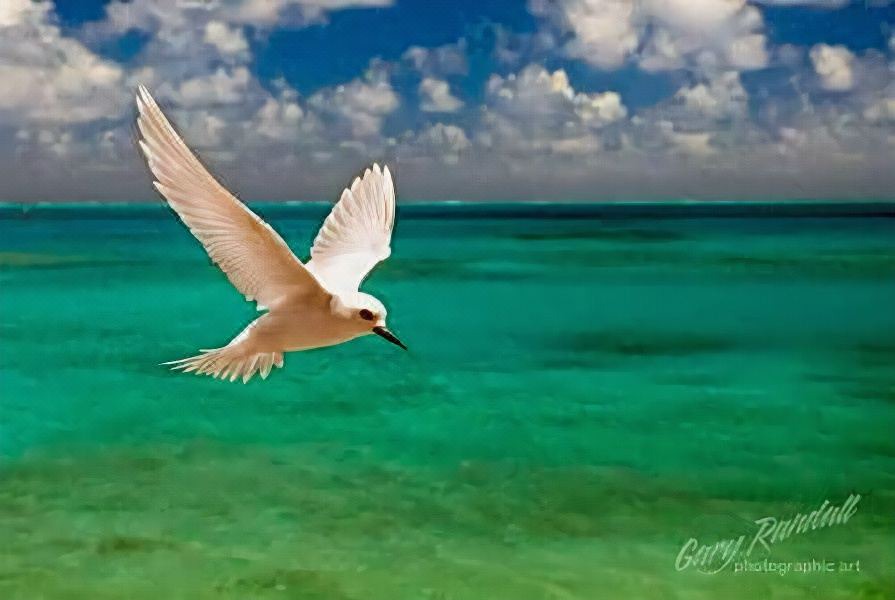 Photo of Outdoor in Hulhudhoo