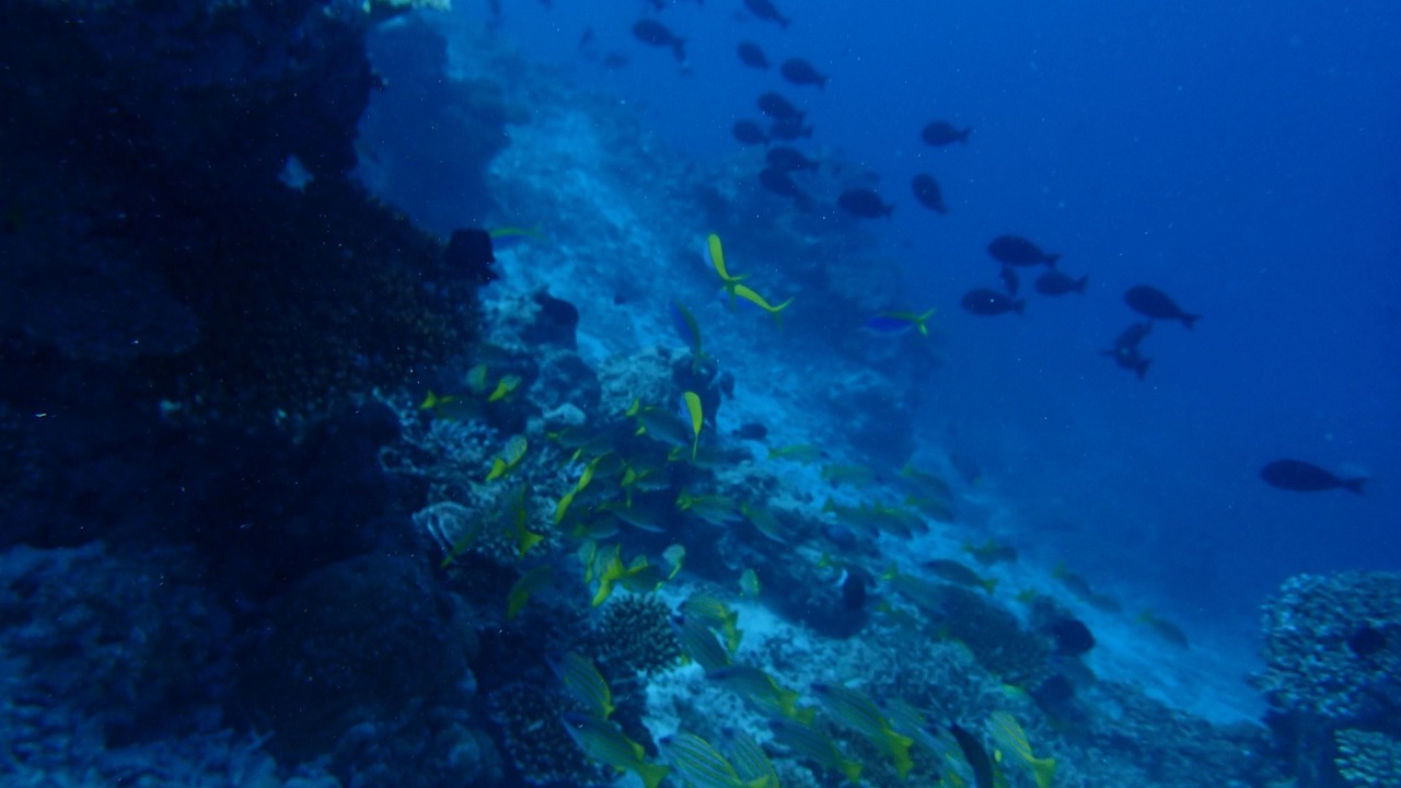 Photo of Outdoor in Mahibadhoo