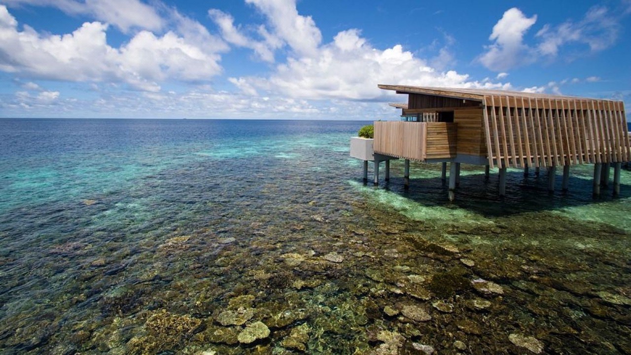 Photo of Others in Hadahaa