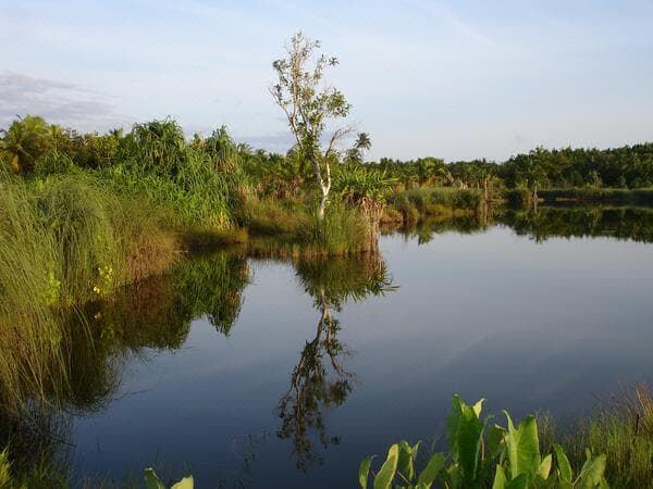 Photo of Outdoor in Fuvahmulah