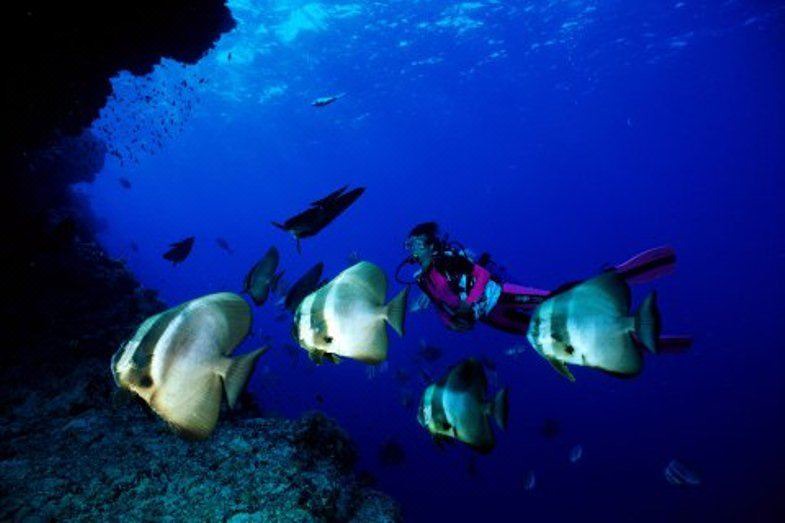 Photo of Others in Feydhoo